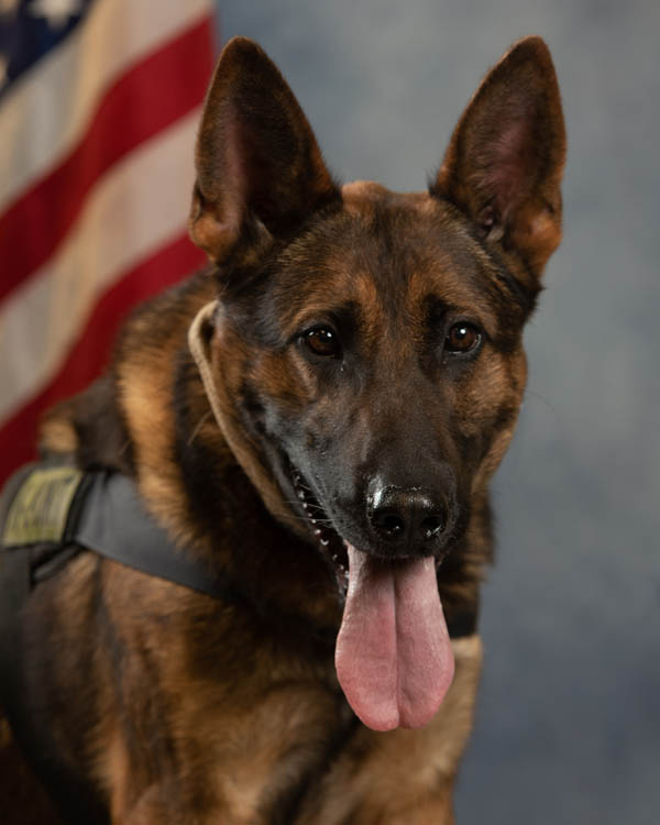 Photo of Officer Highfill and K9 Vadyr